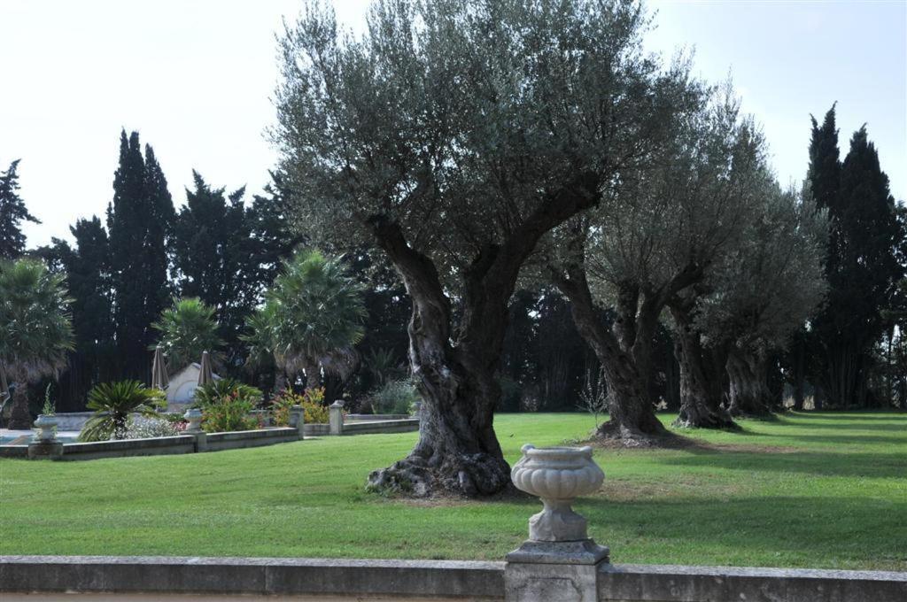 אימארגואס Domaine Du Grand Malherbes מראה חיצוני תמונה